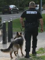 K9 security patrol officer